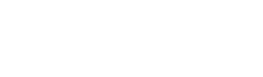 Neosyne LLC-FZ